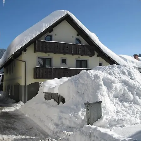 Cvitar - Center בית הארחה 3*